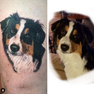 Tattoo: realistic dog's face