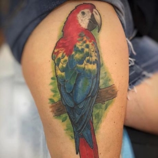 Tattoo: parrot