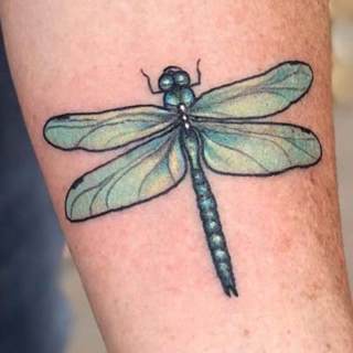 Tattoo: dragonfly